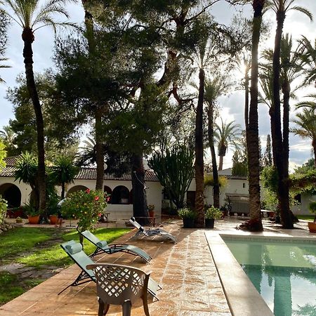 Pink Lemon House Bed & Breakfast Elche Dış mekan fotoğraf