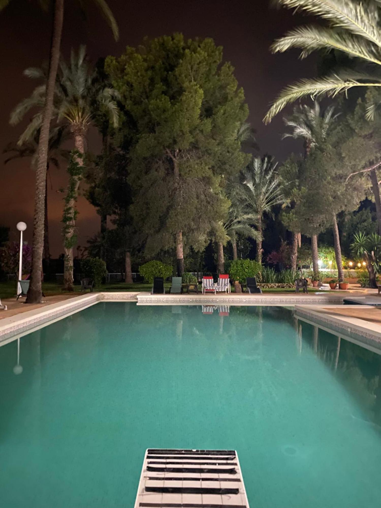 Pink Lemon House Bed & Breakfast Elche Dış mekan fotoğraf