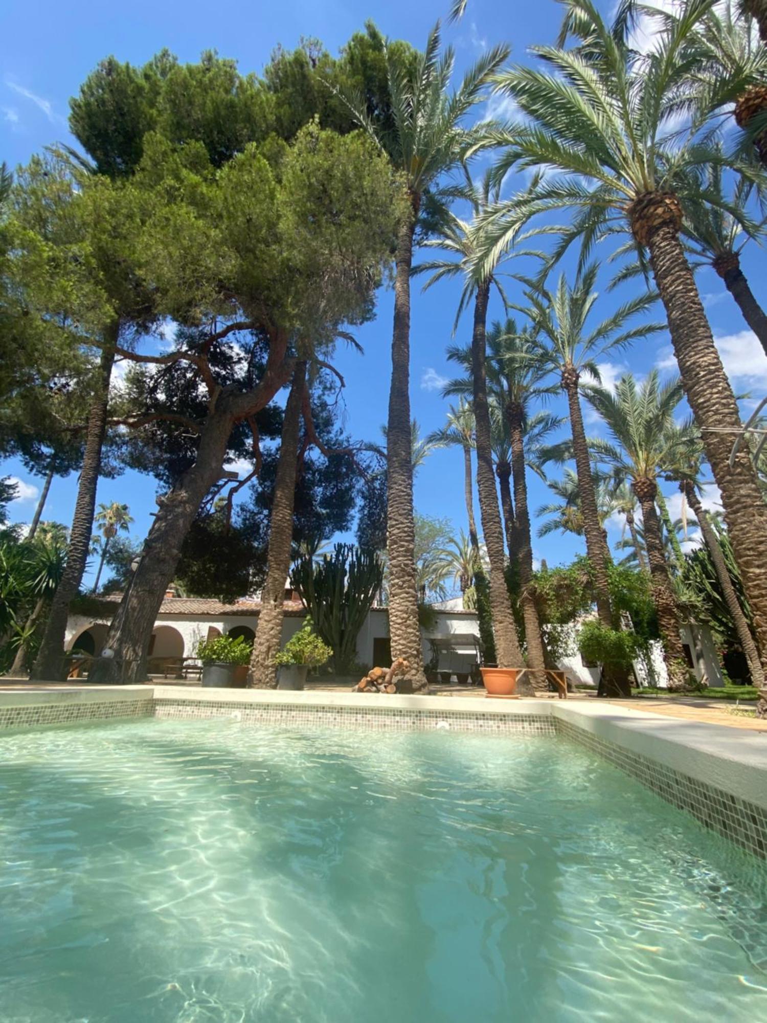 Pink Lemon House Bed & Breakfast Elche Dış mekan fotoğraf