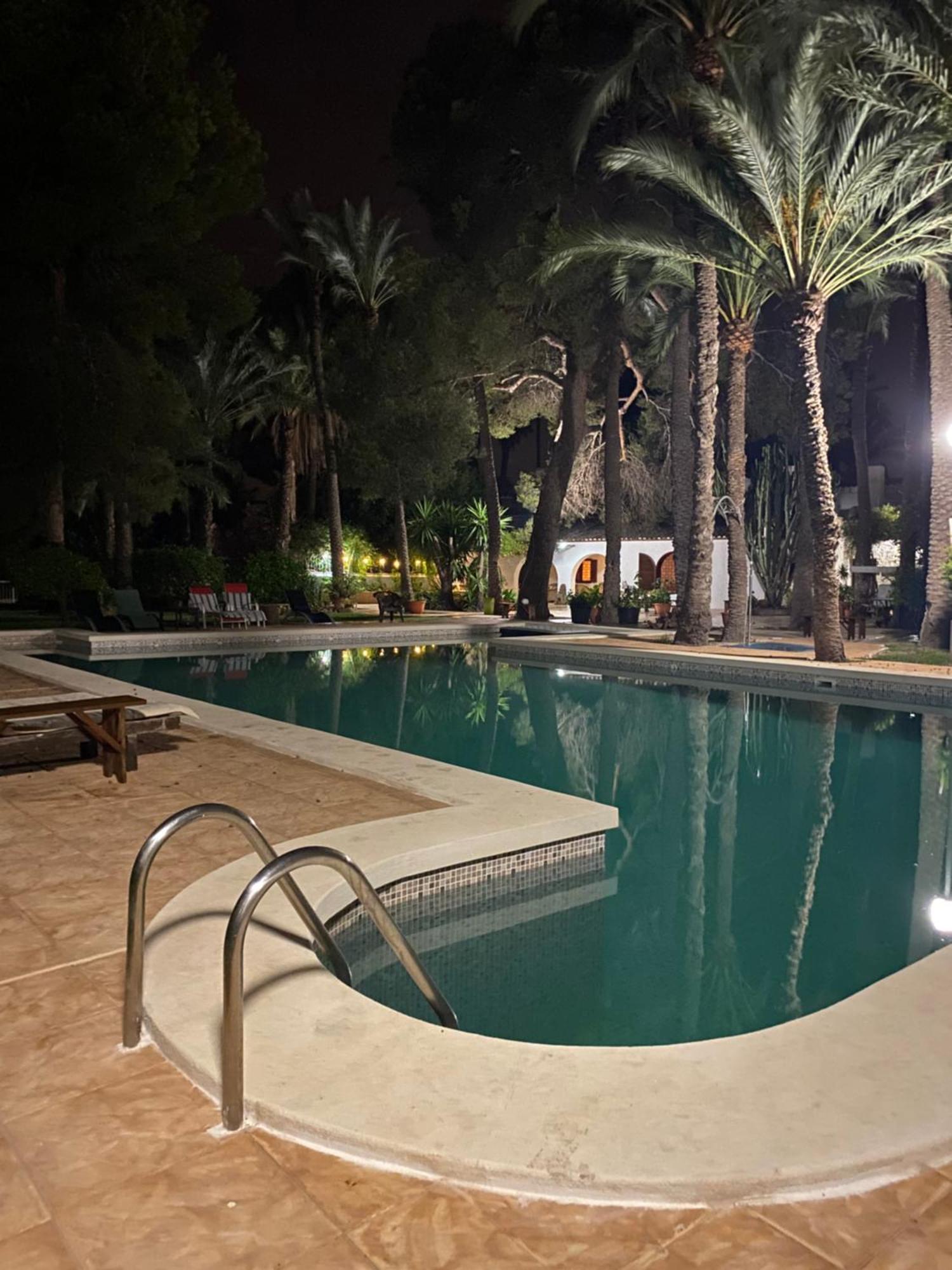 Pink Lemon House Bed & Breakfast Elche Dış mekan fotoğraf