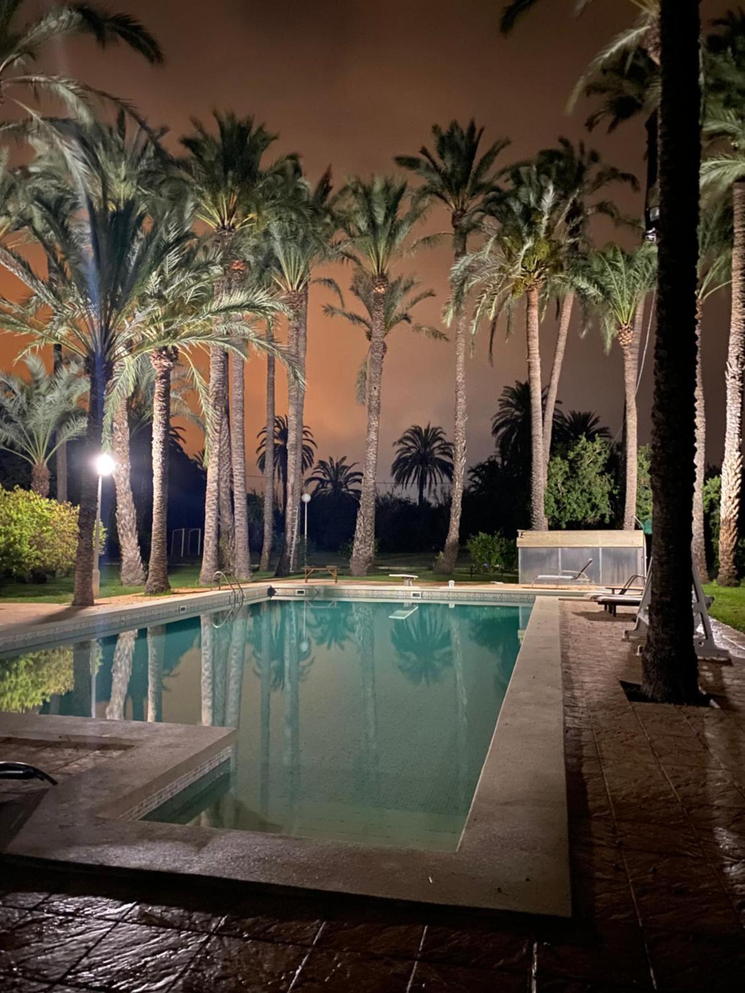 Pink Lemon House Bed & Breakfast Elche Dış mekan fotoğraf