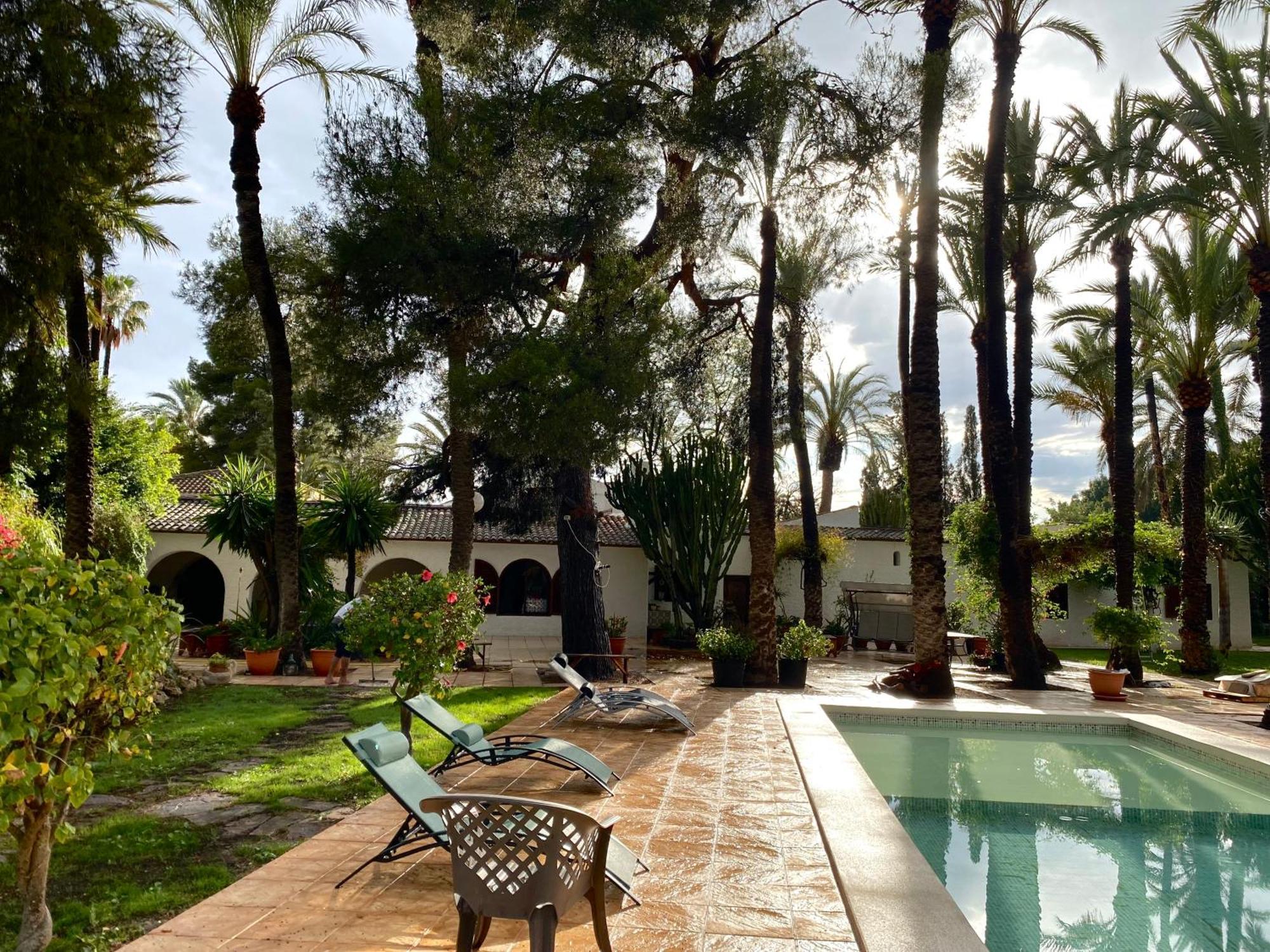 Pink Lemon House Bed & Breakfast Elche Dış mekan fotoğraf