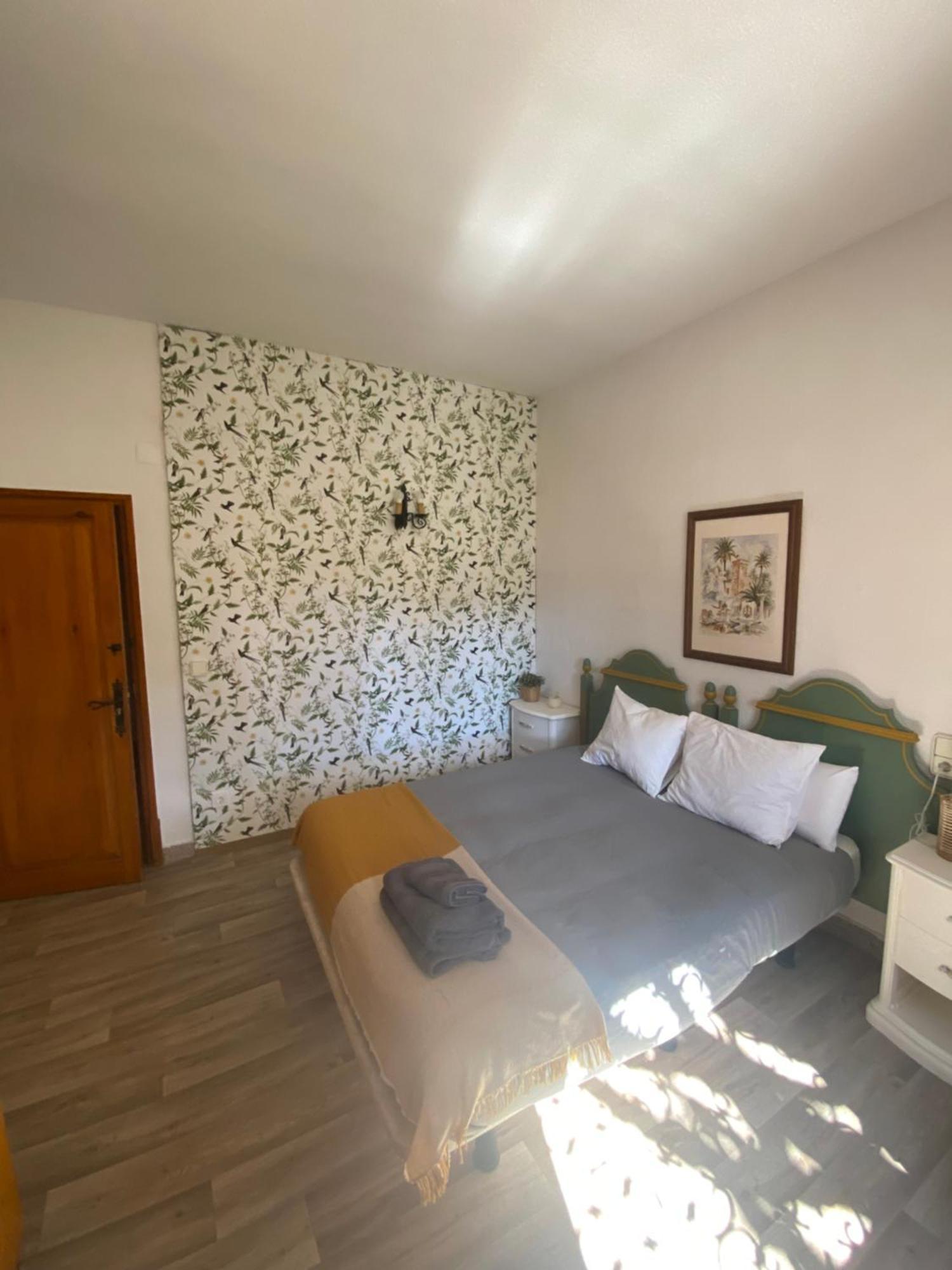 Pink Lemon House Bed & Breakfast Elche Dış mekan fotoğraf