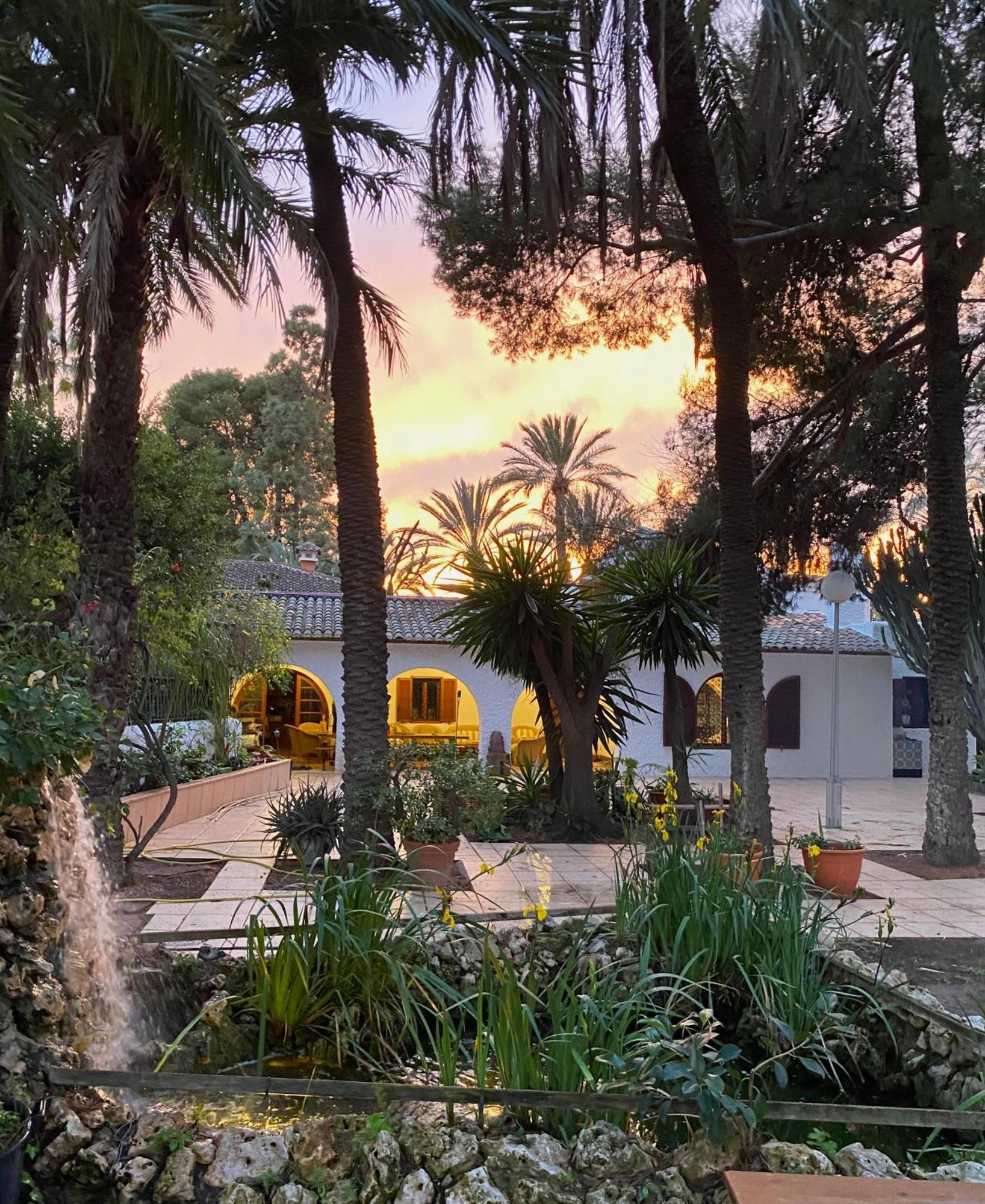Pink Lemon House Bed & Breakfast Elche Dış mekan fotoğraf
