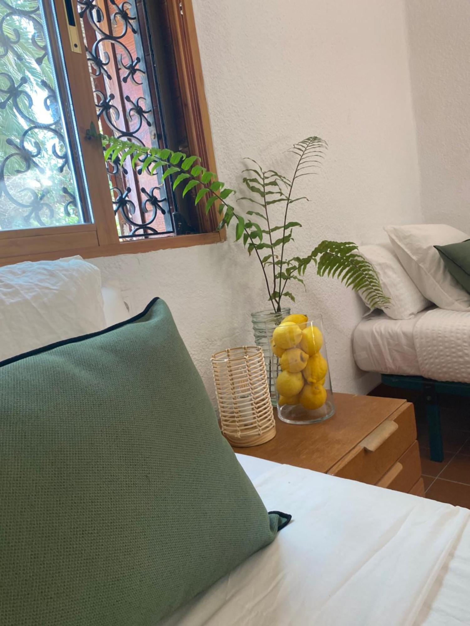 Pink Lemon House Bed & Breakfast Elche Dış mekan fotoğraf