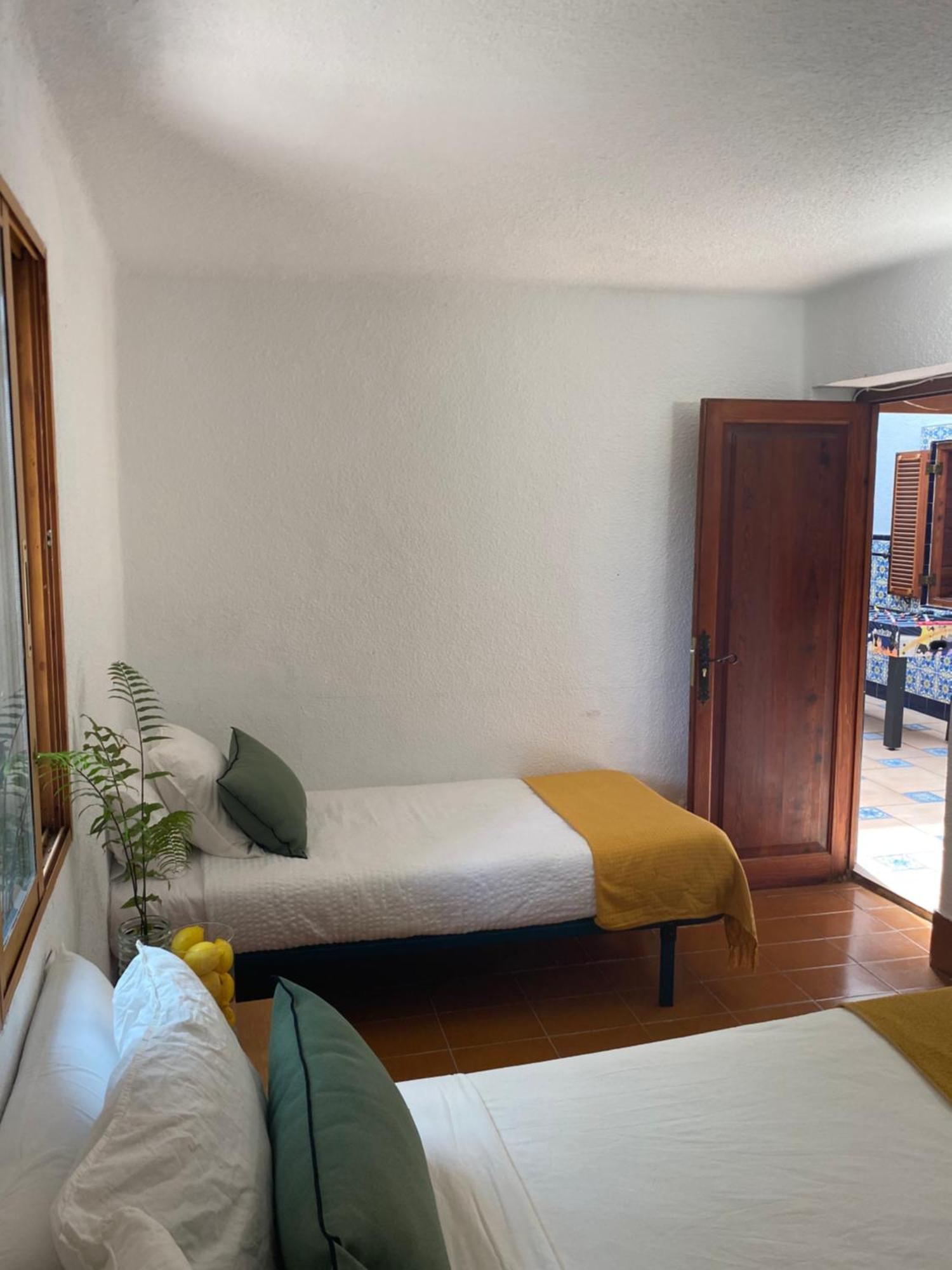 Pink Lemon House Bed & Breakfast Elche Dış mekan fotoğraf