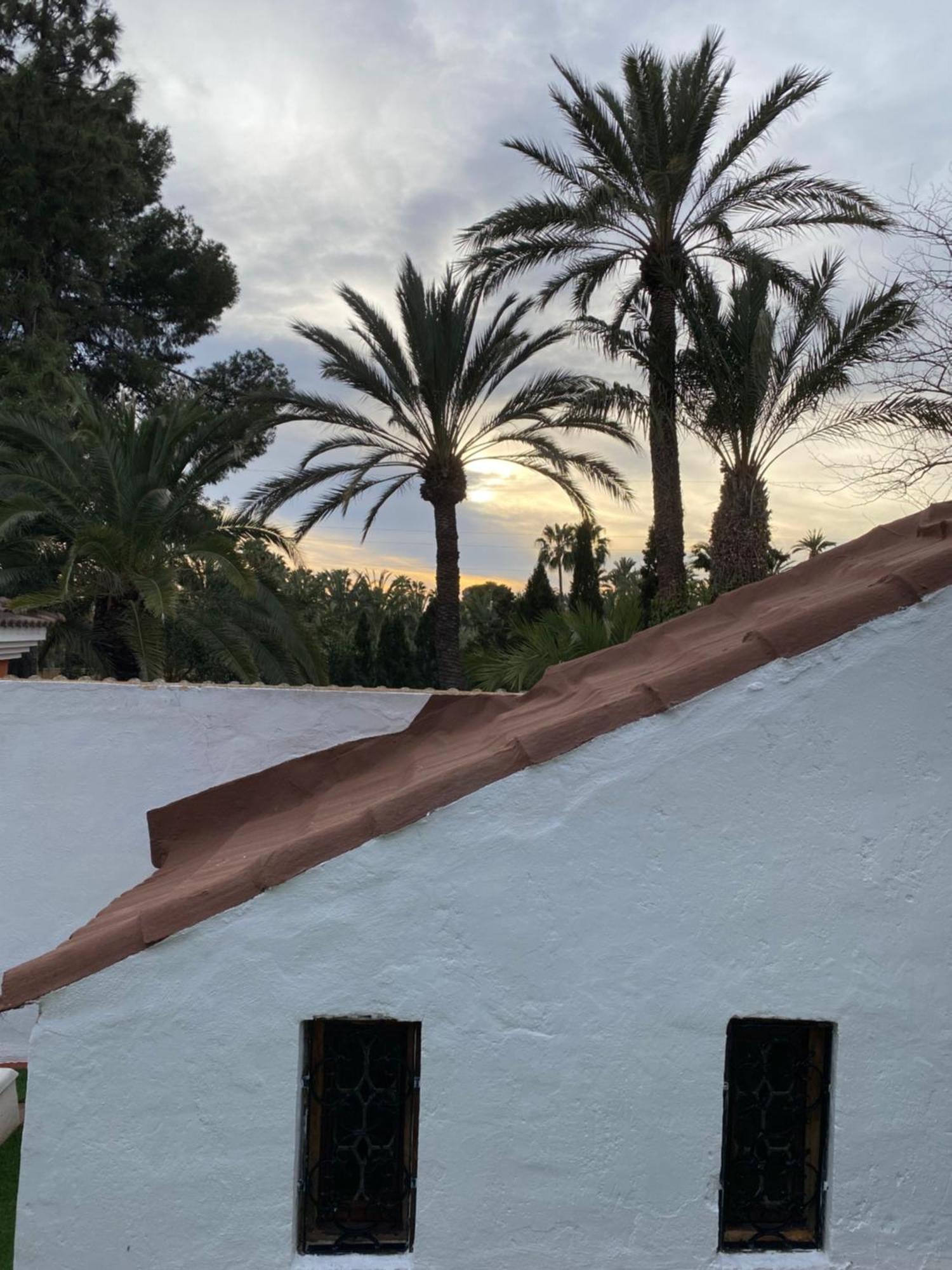 Pink Lemon House Bed & Breakfast Elche Dış mekan fotoğraf
