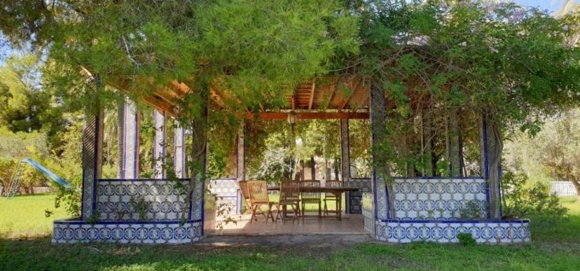 Pink Lemon House Bed & Breakfast Elche Dış mekan fotoğraf