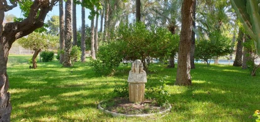 Pink Lemon House Bed & Breakfast Elche Dış mekan fotoğraf
