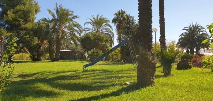Pink Lemon House Bed & Breakfast Elche Dış mekan fotoğraf