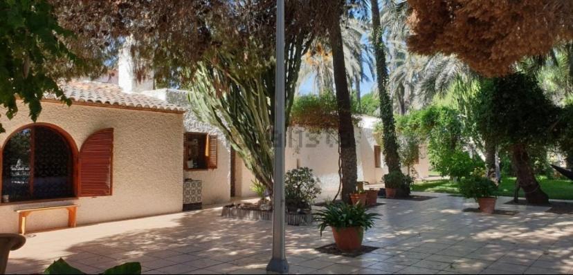 Pink Lemon House Bed & Breakfast Elche Dış mekan fotoğraf
