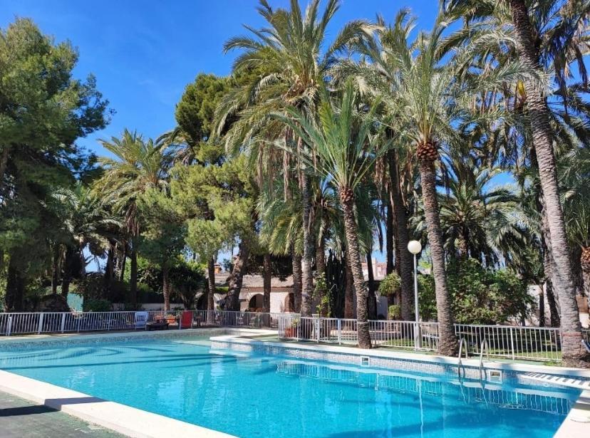 Pink Lemon House Bed & Breakfast Elche Dış mekan fotoğraf