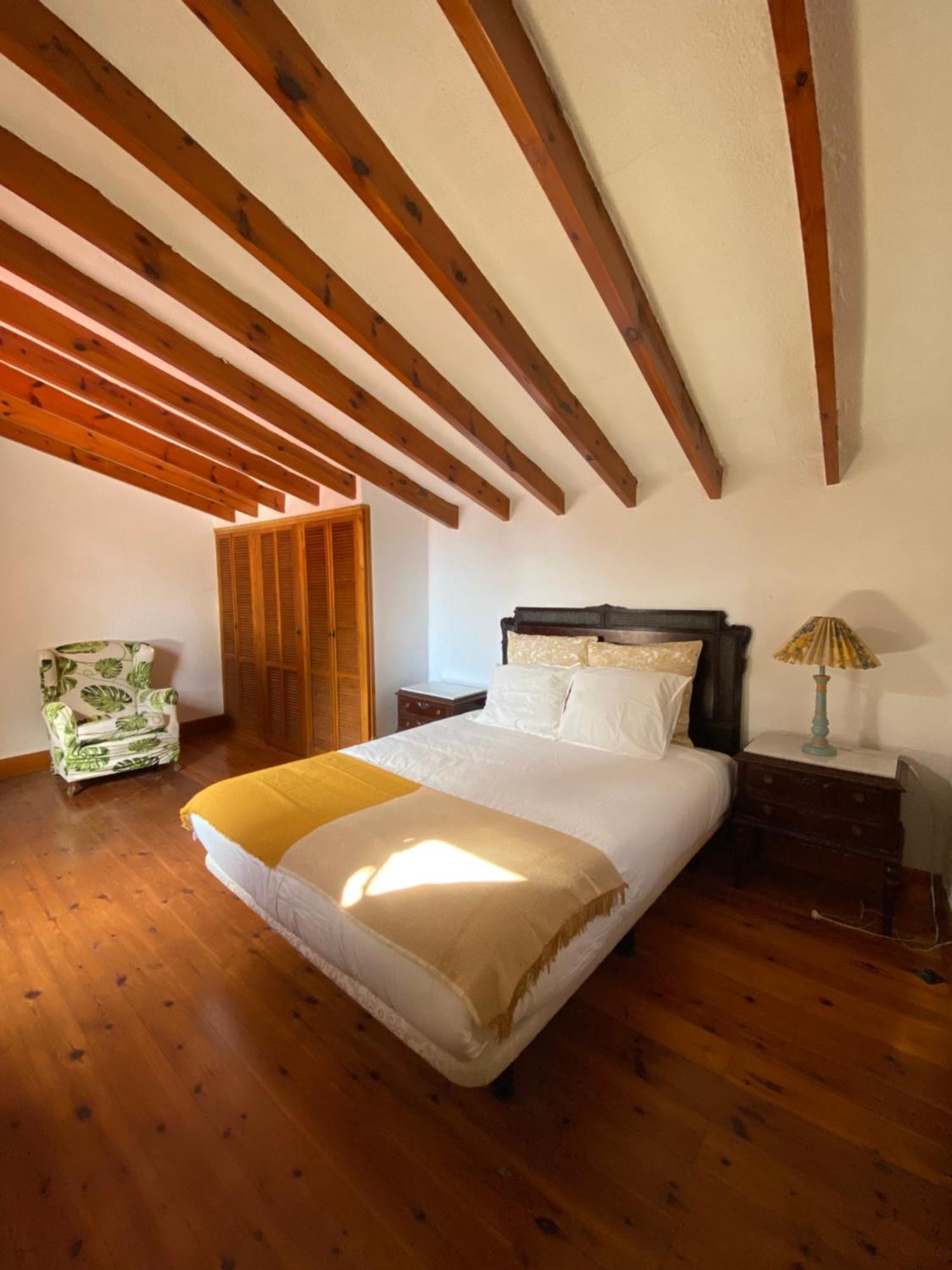 Pink Lemon House Bed & Breakfast Elche Dış mekan fotoğraf