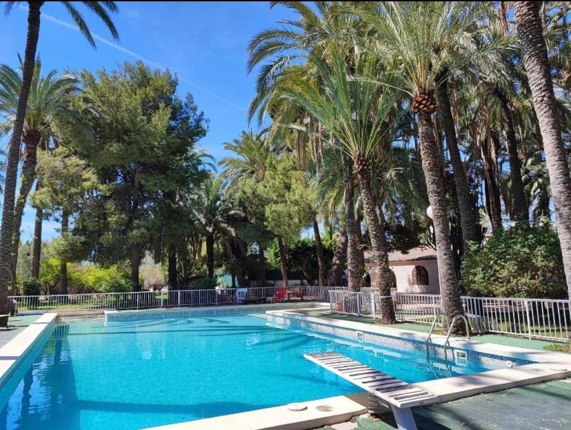 Pink Lemon House Bed & Breakfast Elche Dış mekan fotoğraf