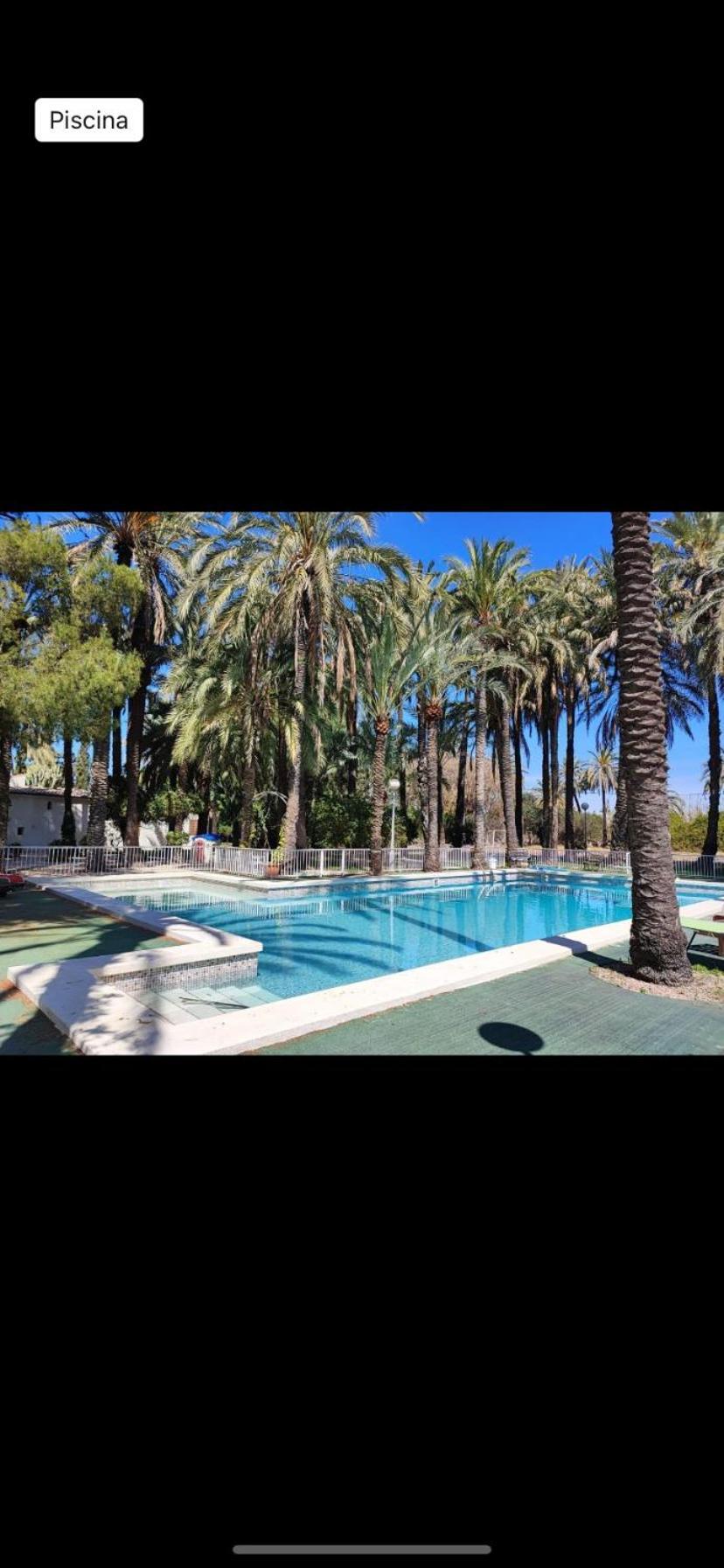 Pink Lemon House Bed & Breakfast Elche Dış mekan fotoğraf