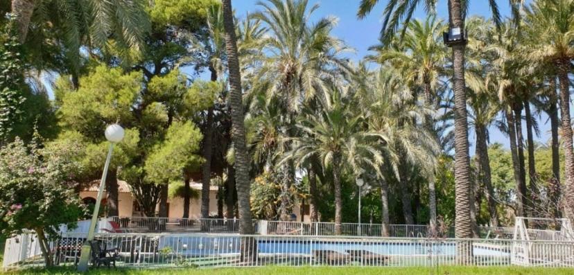 Pink Lemon House Bed & Breakfast Elche Dış mekan fotoğraf