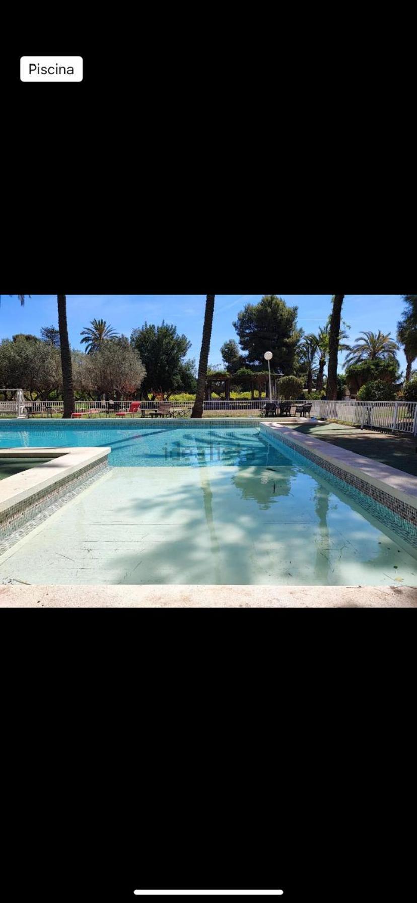 Pink Lemon House Bed & Breakfast Elche Dış mekan fotoğraf
