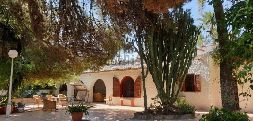 Pink Lemon House Bed & Breakfast Elche Dış mekan fotoğraf
