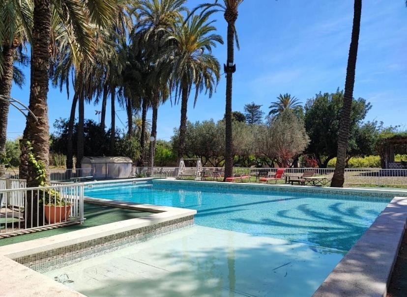 Pink Lemon House Bed & Breakfast Elche Dış mekan fotoğraf