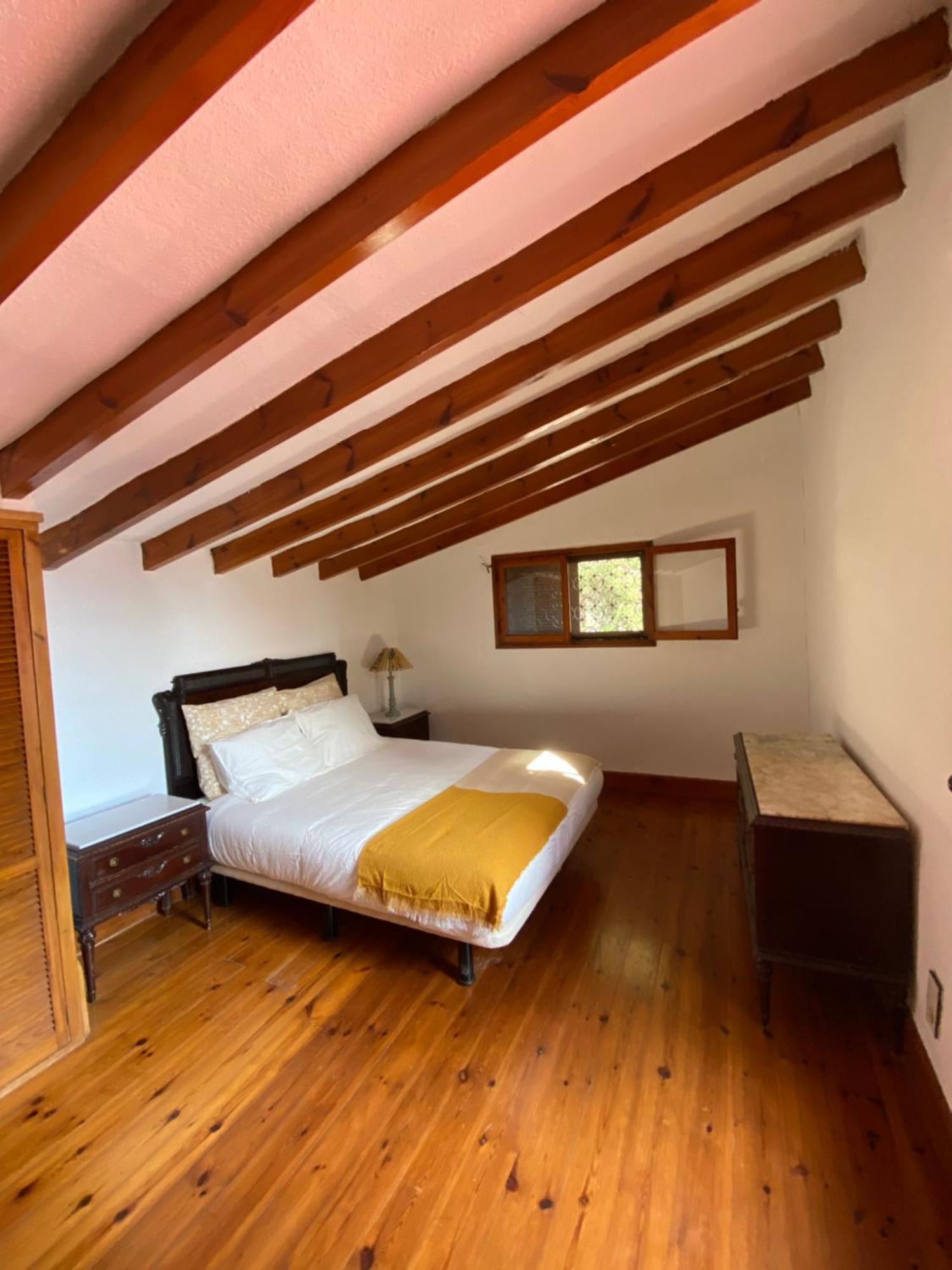 Pink Lemon House Bed & Breakfast Elche Dış mekan fotoğraf